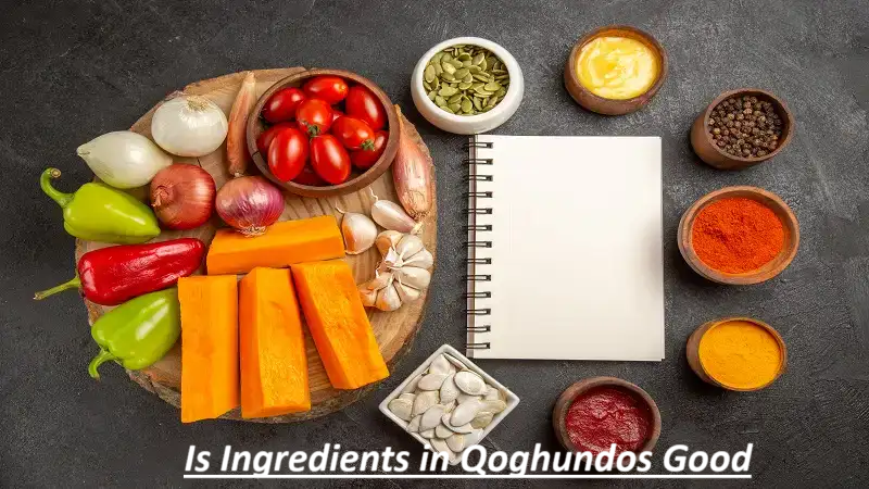 Is Ingredients in Qoghundos Good? Full Expert Breakdown in a Casual Tone